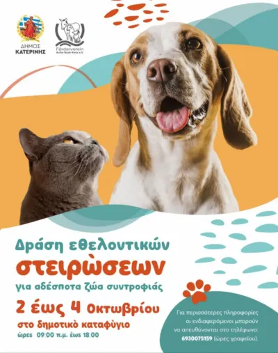 Δράση εθελοντικών στειρώσεων για αδέσποτα ζώα συντροφιάς