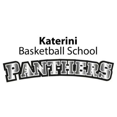 Panthers “Basketball School”